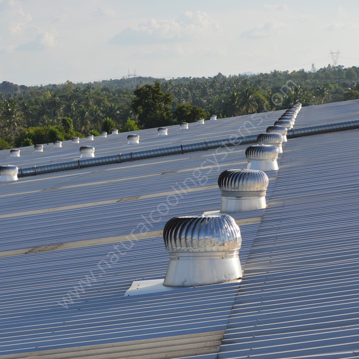 Roof Ventilators